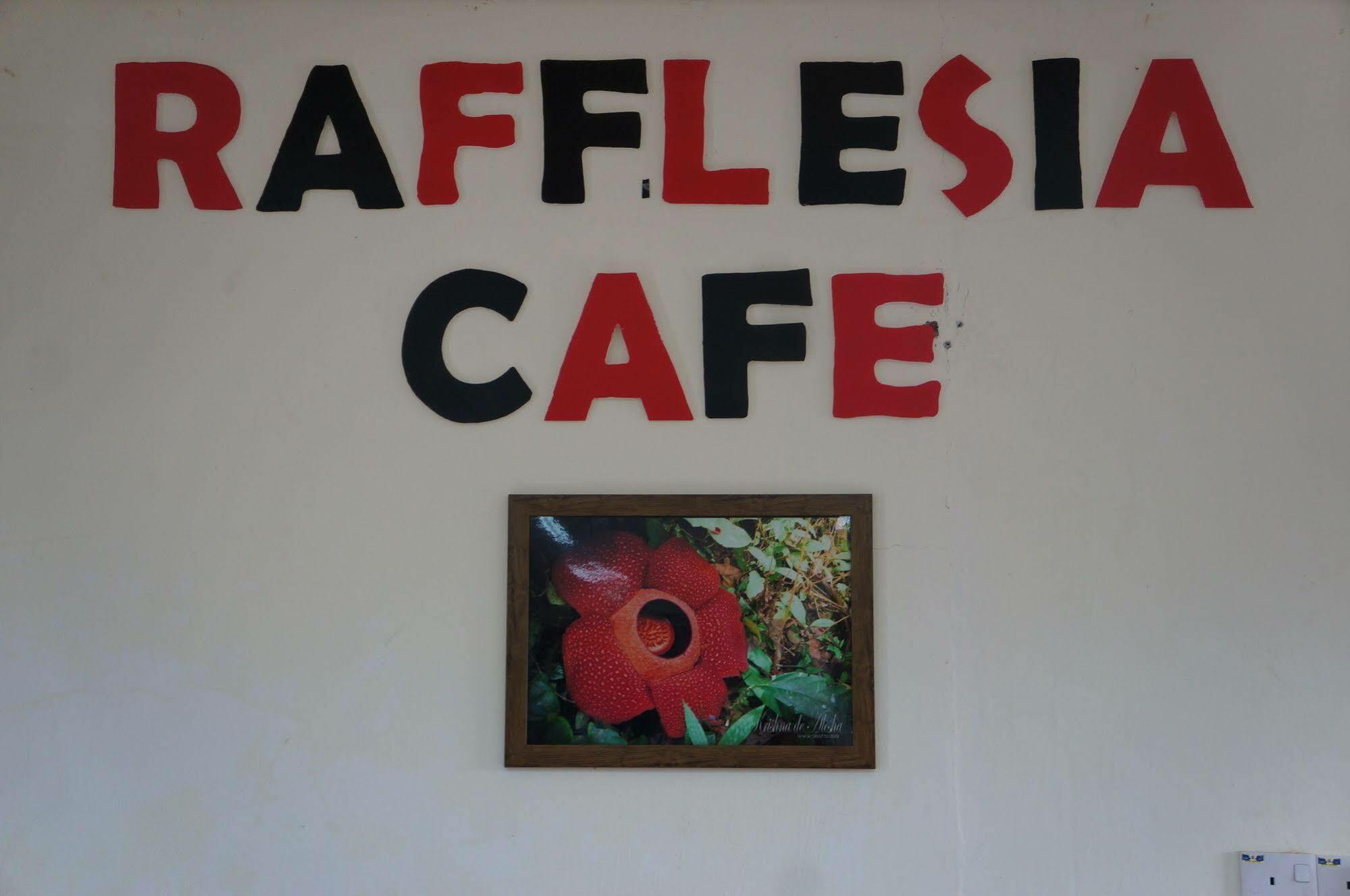 Tambunan Rafflesia Hotel Kota Kinabalu Exteriér fotografie